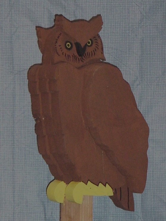 owl