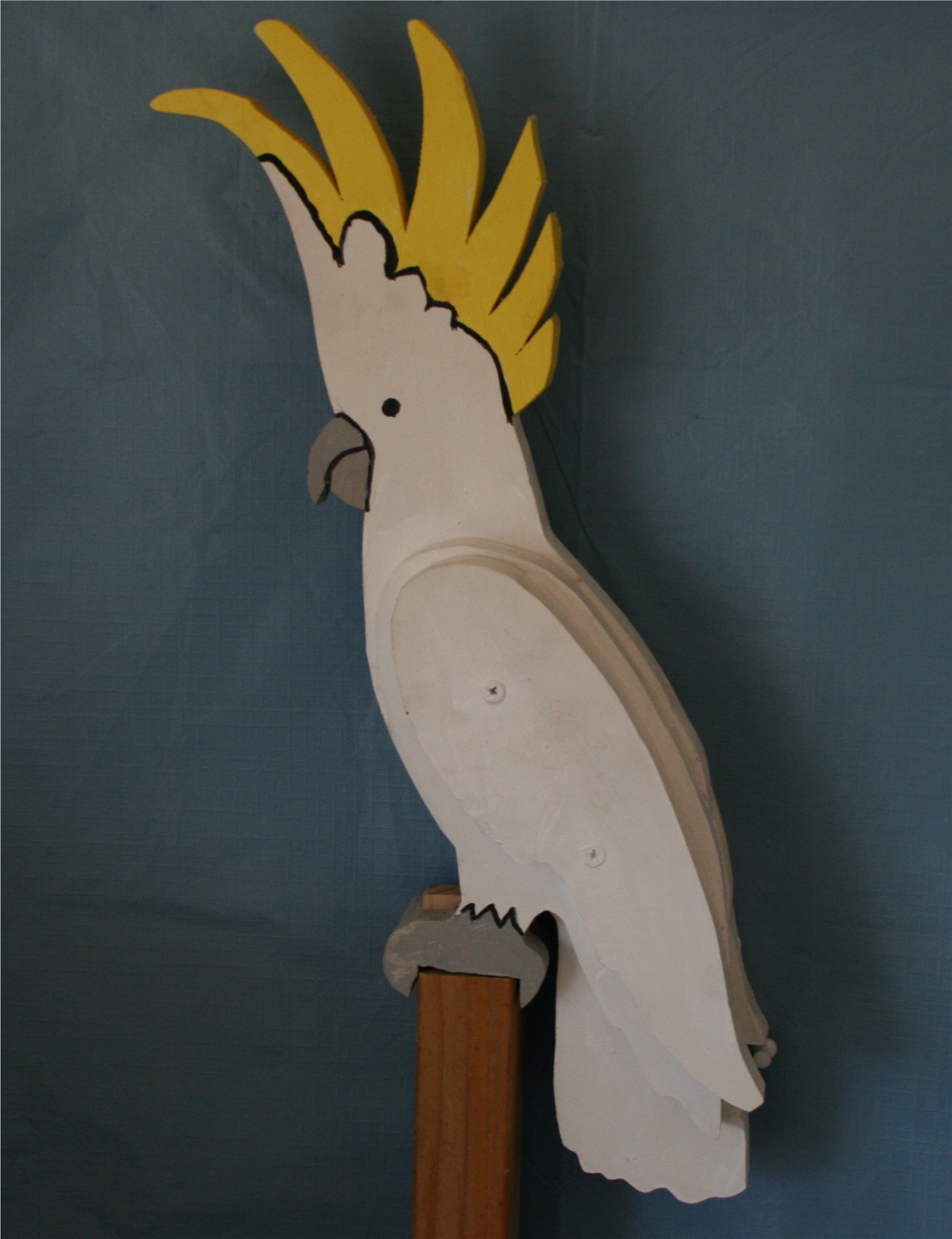 cockatoo