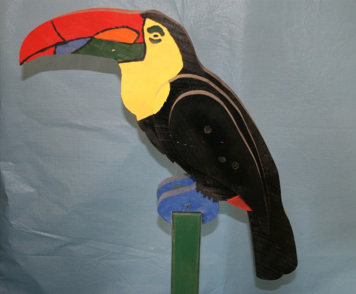 toucan